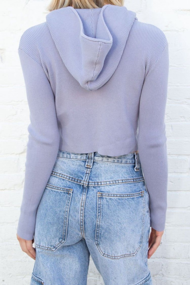 Sweat a Capuche Brandy Melville Arden Crop Violette | PIA-01557318